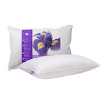 Canadian Down & Feather Co. - Medium Support Canadian Hutterite Goose Down Pillow Standard Size - 400 TC Shell 100% Cotton - Made in Canada