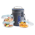 Treo by Milton All Fresh Borosilicate Glass Lunch Box Set of 3, Clear, 400 ml Each with Lunch Bag, Microwave & Dishwasher Safe, Leak Proof Containers Office Tiffin