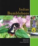 Indian Bumblebees