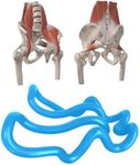 THERANUB Back Hoop for Pain Relief Deep Tissue - Hip Flexors Psoas iliacus Release - Massage Sciatica Trigger Points in The Piriformis - Loosen Rhomboid QL Muscles