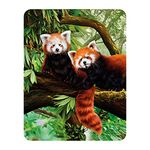 3D LiveLife Magnet - Red Pandas from Deluxebase. Lenticular 3D Wild Animal Fridge Magnet. Magnetic decor for kids and adults with artwork licensed from renowned artist, Katrina Sokolo