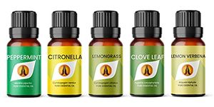 Insect Repellent Essential Oil Set | Peppermint, Citronella, Lemongrass, Clove, Lemon Verbena 5 x 10ml | for Diffusers for Home, Aromatherapy, Gift for Him/Her, Candle Making, Soaps, Wax Melts etc