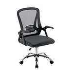 Panana Office Chair Mesh Back Ergonomic Desk Chair with Flip-up Armrest Executive Swivel Computer Chair (Dark Grey)