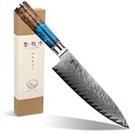 Atumuryou Janpanese Chef Knife, Handcrafted 8 inch High Carbon Steel Kitchen Knife, Handmade Chefs Knife with Japan VG-10 Super Steel Core