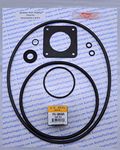 Pentair Ultra Flow Complete Viton Saltwater & Ozone Pump O-Ring Rebuild Kit