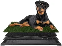 Artificial Grass Puppy Pee Pad for