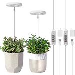 LORDEM Grow Light, Full Spectrum LED Plant Light for Indoor Plants, Height Adjustable Growing Lamp with Auto On/Off Timer 4/8/12H, 4 Dimmable Brightness, Ideal for Small Plants, Pack of 2