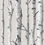 Birch Tree Peel and Stick Wallpaper