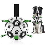 Leather Football For Dogs