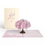 Lovepop Everyday Pop-Up Card for Her and Him- 3D Thinking of You Greeting Cards for Boys, Girls, Men, Women - 5" x 7" Cherry Blossom - Blank Note Card & Envelope Included