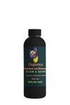 Organica Cat & Kittens Shampoo for All Breeds | Shiny & Mew 200 ml Sulphate Free | Soothes Itchy Skin, Natural Deodorizer, Natural Tick & Flea Repellent | Paraben Free, Vegan & Cruelty Free