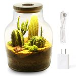 LECANI Large Glass Plant Terrarium Propagation Station with LED Plant Light and Breathable Wooden Lid, 7.8”D X 10.5”H, Multi-Use DIY Desktop Plant Pot Flower Vase Jar for Office and House Decor