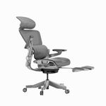 HINOMI H1 Pro V2 Ergonomic Office Chair with Footrest - Executive Desk Chair with Dynamic Lumbar Support, Computer Chair with Flip Up Arms, Comfy Mesh Home Office Chair (Grey, Medium)