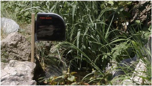 Fish Mate Automatic Pond Fish Feeder – P21, Timed Dispenser
