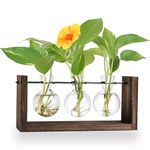 Hydroponic Plant Propagation Station,Ompinda Desktop Terrariumr Bulb Vase with Wooden Stand Plant Lover Gifts for Women, Indoor/Garden/Office/Home Decor