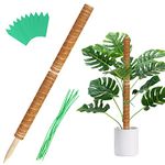 Augshy Total 27 Inches Moss Poles for Monstera Indoor Creepers Plant Support Extension Climbing Plants