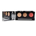 Dermaflage Tattoo Cover Up Makeup (Medium) - Bruise Full Coverage Concealer - Full Coverage Waterproof Concealer for Bruise, Scars & Acne - Smudge Proof Palette with 3 Pro SFX Shades + Brush