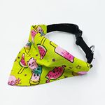 MyArtBucket Summer Printed Adjustable Dogs Pets and Cats Bandana/Scarf for Small Medium Large Dogs Pets Puppies (Yummy Popsicles, M)