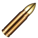Goetland 304 Stainless Steel 17.6 oz Bullet Water Bottle Bullet Tumbler Cup Vacuum Insulated Tumbler Travel Mug Flasks No Logo Dark Copper