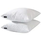 basic home 26x26 Euro Throw Pillow 