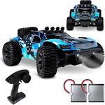 Overmax X-Hooligan Remote Control Car with 2 Batteries Monster Truck RC Speed up to 50km/h Range up to 100meters 4x4 traction 40 Minutes without charging Oil-Spring suspension USB Lights Solid body