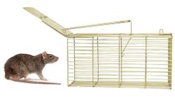 Rat Trap Cage Rodent/Mouse Trap Large cage, Iron Catcher, Extra Large Jumbo Ultimate Rat Catcher Cage, 30 x 15 x 15 cm