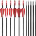 80cm(31 inch) Target Archery Arrows