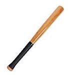 Steiner Sports Baseball Bats