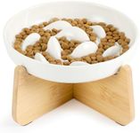 PETTOM Slow Feeder Cat Bowl Ceramic
