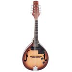 Vault Sajni Electro-Acoustic Solid-Top Premium Mandolin