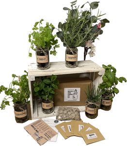Indoor Herb Garden Jar Kit – 3-Pack Grow Set