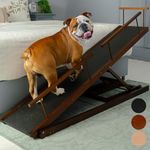 Dog ramp f