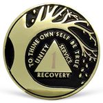 1 Year Sobriety Coin Tree of Life AA Coin Alcoholics Anonymous Medallion One Year Sober Chip Anniversary Token Sobriety Gifts for Women Men Celebrating Sobriety