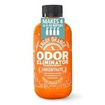 Angry Orange Pet Odor Eliminator 8 oz. Bottle- Industrial Strength Pet Odor Remover - Makes (4) 32oz. Bottles - 1 Gallon - Neutralizes and Sanitizes Tough Pet Odors Fast