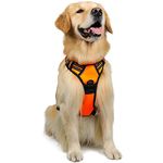 rabbitgoo Dog Harness Large Dog No Pull Pet Harness with 2 Leash Clips, Adjustable Soft Padded Pet Vest Harness, Reflective No-Choke with Easy Control Handle for Training or Walking, Orange, L