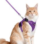 rabbitgoo Cat Harness and Lead Set,