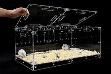 GuineaLoft™ Acrylic Cage (Model-P) - Clear Cage for Hamsters, DIY Extendable & Stackable to Add Space - Guinea Loft Exclusive