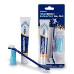 bluestem Dog & Cat Toothbrush and Toothpaste Kit - Dog and Cat Toothpaste with Coactiv+ Technology to Reduce Tartar Buildup - Sticky and Long-Lasting Cat and Dog Toothpaste - Chicken Flavour