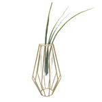 Desktop Glass Planter Hydroponics Vase Glass Propagation Station with Modern Creative Geometric Metal Frame Test Tube Vase for Home Office Decor Table Top (Gold Geometric Shape)