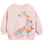 DHASIUE Baby Girls Dinosaur Sweatshirt Jumper T-Shirt Cute Long Sleeved Tops Casual Cotton Tee Shirts Kids Toddler Clothes Age 1-8 Years