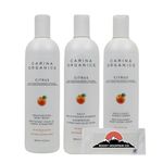 Carina Organics Citrus Bundle, All Natural Daily Light Conditioner, Daily Moisturizing Shampoo, Moisturizing Body Wash, Sulfate-Free, Paraben Free, Vegan, 360ml (3 in a pack)