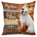 Generic Custom Pet Photo Pillow Cover | Gifts for Pet Lovers - Custom Decorative Pillow Case, Custom Pillowcase for Home Decor, TFBZPTDZuK06u