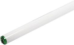 Philips 457887 Fluorescent 32W T8 48" Cool White (4100K) 10 Pack