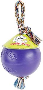 Jolly Pets 8-Inch Romp-n-Roll, Purple