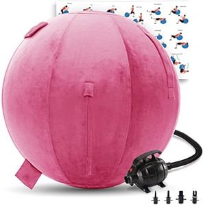 Exercise Ball 65cm/26in, Maroon Mirco Plush Soft Cover with Electric Quick Pump For Yoga, Pilates, Fitness Balance Stability, Office Ball Chair Seat. Soft & Slip Resistant, Pro Guide