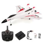 WLtoys RC Planes