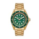 Michael Kors Stainless Steel Analog Green Dial Men Watch-Mk9162, Gold Band