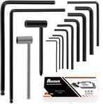 Rustark 13Pcs Guitar Allen Wrench T