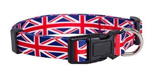 Native Pup Union Jack Dog Collar- UK Flag Dog Collar (Large)