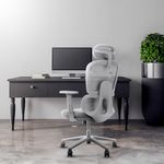 Frido AeroMesh Ergo Chair, Adjustable Armrests & Headrest, Lumbar Support, Breathable Mesh Back Fabric, Customizable Seat Depth & Height, Office Chair for Work, Study, Computer,120 kg Capacity- Grey